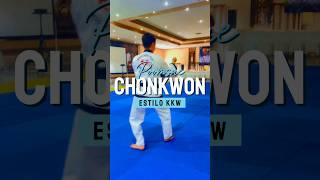 poomsae Chonkwon estilo Kukkiwon [upl. by Hilaria]