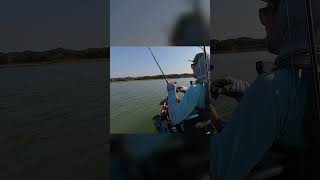 FISH TEXASBOERNE LAKE boernetexas kayakbassfishing basslake berkleyfishing texastown [upl. by Frasch]