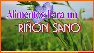 10 Super Alimentos Para Tener un Riñon Sano [upl. by Eelrefinnej]