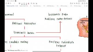 PATOFISIOLOGI NBS CASE 1 quotMigrain NonAuraquot  ray [upl. by Alledi]