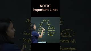 Compare Angiosperms amp Gymnosperms  Revision Biology NEET  NCERT important lines for NEET  ncert [upl. by Jacobson]