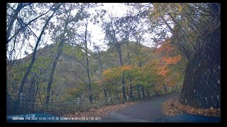 20241026紅葉狩りドライブin栃木県奥日光・山王林道4K [upl. by Oirelav775]