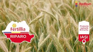 Prezentare Triticale Riparo [upl. by Manda]