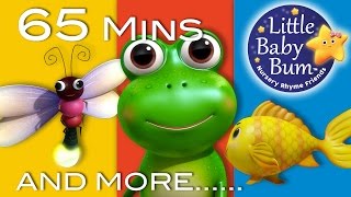 Five Little Speckled Frogs  Little Baby Bum  Nursery Rhymes for Babies  Baby Song Compilation [upl. by Alilak]