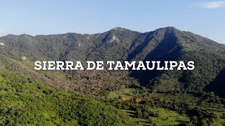 Explorando la naturaleza virgen de la Sierra de Tamaulipas [upl. by Novak252]