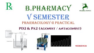 Agonist  Antagonist  PD2PA2  Series 12 [upl. by Notserc840]