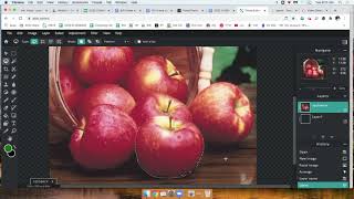 PIXLR LESSON How to use the Lasso Tool video 2 [upl. by Nedrud159]