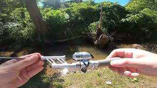 Testing out the ProFISHiency Tiny Pocket Combo shorts creekfishing profishiency [upl. by Ahtelra]