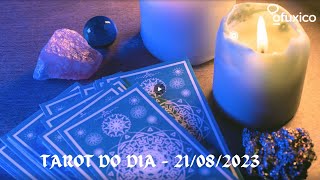 Tarot  A Carta do Dia [upl. by Attolrahc]