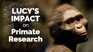 CARTA Lucys Legacy and the Past and Future of Primate Research [upl. by Hali67]