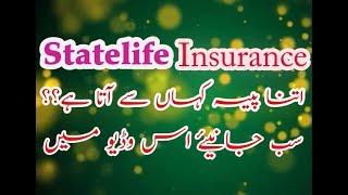 Earning Resources Of StateLife Insurance Of Pakistan [upl. by Yrruc]