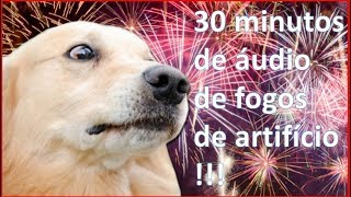 Como dessensibilizar o cachorro com medo de fogos de artifício [upl. by Granger]