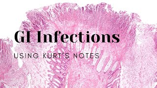 GI Infections Using Kurt’s Notes pathology path gipath pathagonia [upl. by Leggat664]