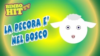 La Pecora è Nel Bosco  Canzone Per Bambini  Bimbo Hit Tv [upl. by Eonak]