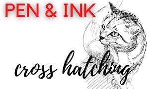 TIMELAPSE  Cross hatching sketch in PEN and INK  How to DRAW a CAT [upl. by Stalker]