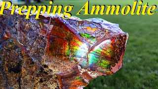 Unbelievable Colors Prepping a Pile of Raw Ammolite Specimens  StepbyStep Guide [upl. by Abbate]