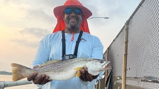 81624 WeakFish takes the Bait with NonStop Action how ya like that Go Get’em Gang [upl. by Eenalem12]