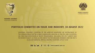 Portfolio Committee on Trade and Industry 30 August 2022 [upl. by Eyt]