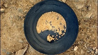 Pounds and Pounds of Gold I Mined Gold at Sterling Creek Mine  Glenn Wadstein [upl. by Otxilac]