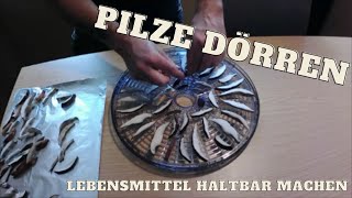 Pilze dörren  Severin Dörrautomat  Prepperskills [upl. by Cariotta]