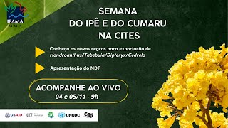 Semana do Ipê e do Cumaru na CITES 04112024 [upl. by Lertnahs]