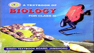 84 LIFE CYCLE OF ZYGOMYCOTA  CHAPTER 8KINGDOM FUNGI  FIRST YEAR BIOLOGY [upl. by Illak]