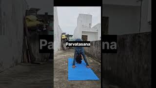 How to perform Surya Namaskar 12 steps shorts viralytshorts [upl. by Dermott967]