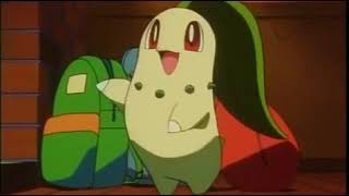 Chikorita Quiere a ash [upl. by Ophelia]