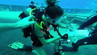 Day 5 Grand Cayman MGSH Dive Trip [upl. by Wilmar]