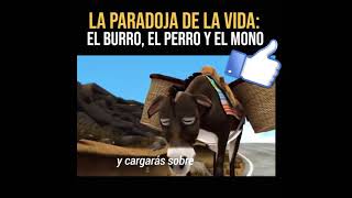 PARÁBOLA DE LA VIDA❤  El Burro El Perro y El Mono 💌 Reflexión Semana Santa 2020✔ [upl. by Aleta87]