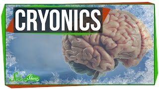 Cryonics Could We Really Bring People Back to Life [upl. by Adi]