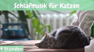 21  9 Stunden 🐱Schlafmusik für Katzen 🐱Entspannende Musik für Katzen und Kätzchen 🐱 [upl. by Elisabetta524]