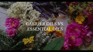 Carrier Oils vs Essential Oils [upl. by Faydra793]