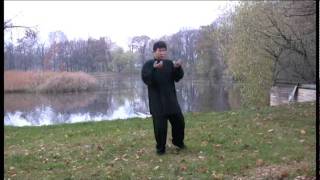 Yang Shao Hou Xiao Jia Taiji Quan 楊氏小架太極拳  楊少侯小架太极拳 fragment [upl. by Wampler673]