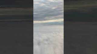 Above the clouds 🌧️ sunexpress boing737 plane aviation pilotview planespotting flight [upl. by Broddy]