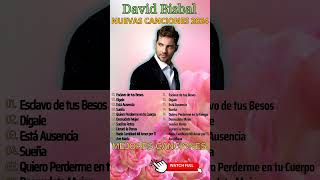 Dígale  David Bisbal  Best Songs Collection Of All TimeI MIX ROMANTICOS💕 davidbisbal bisbal [upl. by Llebyram]