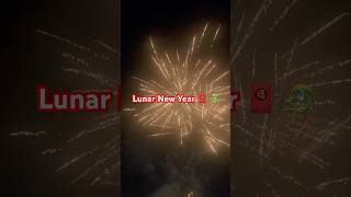 Year of the Dragon fire works lunarnewyear chinesenewyear fireworks vietnam dragon saigon [upl. by Eimme]