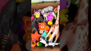 Box of Zoo Animals shorts [upl. by Ashmead]