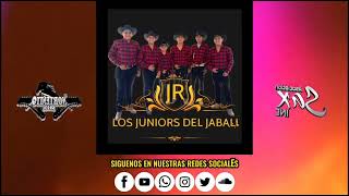 Los Juniors Del Jabali  El Tirado  Live 2024 [upl. by Kuster]