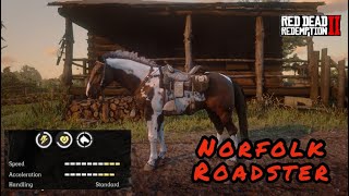 Red Dead Redemption 2 Norfolk Roadster the Fastest Horse on the Game  Gameplay and Review  2023 [upl. by Chadburn]