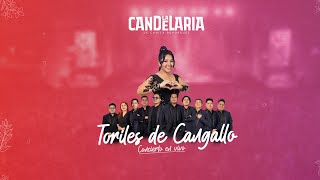 La Candelaria  Toriles de Cangallo [upl. by Neeli]