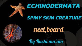 Echinodermataanimal kingdom chapter4ncertbiologyneetcbseboards [upl. by Aitenev]