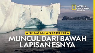 Ancaman Besar Antarktika Muncul dari Bawah Lapisan Esnya [upl. by Aguste]