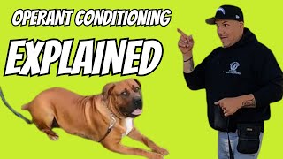 Operant Conditioning in Dog Training Explained Simply [upl. by Agostino38]