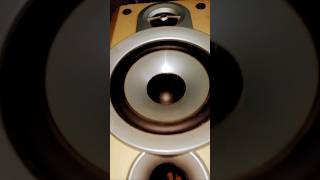 Basswoofer powerfulbass shortsvideo [upl. by Irelav]