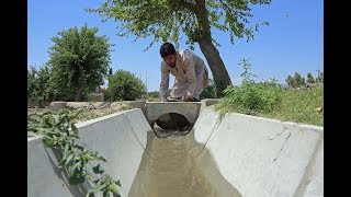 A New Irrigation Canal Reduces Poverty Among Rural Afghans [upl. by Panaggio676]