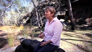 The Final Push For The Pilliga [upl. by Fernandes]