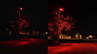 Compare Blackmagic Cam App Left vs Iphone Camera App Right on Iphone 16 Pro [upl. by Newol693]