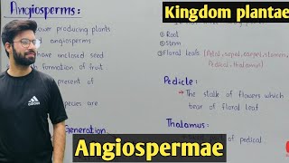 Angiospermae Characteristics In Urdu Hindi  Life Cycle [upl. by Anaek353]