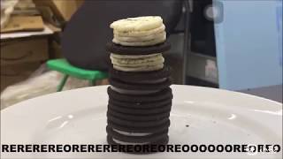 OREO OREORE OREOREORE 0 OREORE REREREREREREREEREE [upl. by Rotkiv691]